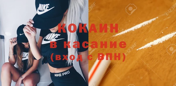 твердый Медногорск