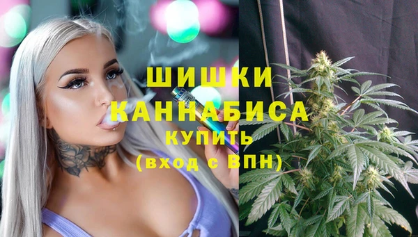 твердый Медногорск