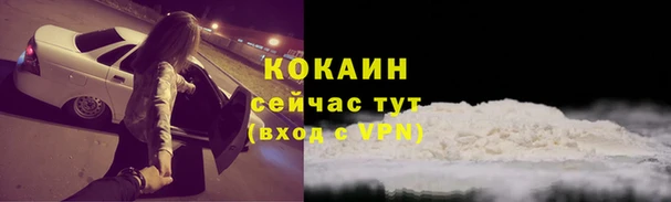 твердый Медногорск