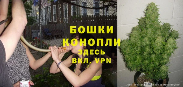 твердый Медногорск