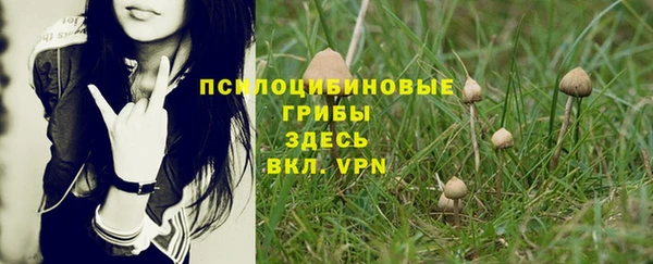 экстази Медвежьегорск