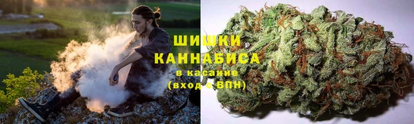 мяу мяу мука Магадан