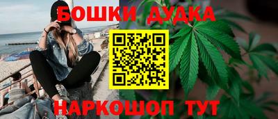 spice Аргун