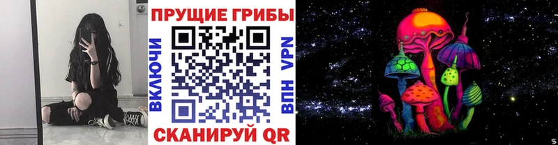 Галлюциногенные грибы Magic Shrooms  где найти   Владикавказ 