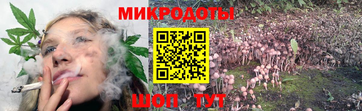 Псилоцибиновые грибы мицелий Владикавказ