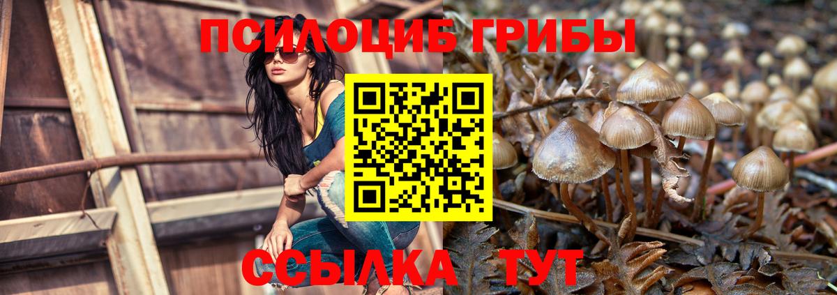 Галлюциногенные грибы прущие грибы  сколько стоит  Галлюциногенные грибы GOLDEN TEACHER  Владикавказ 