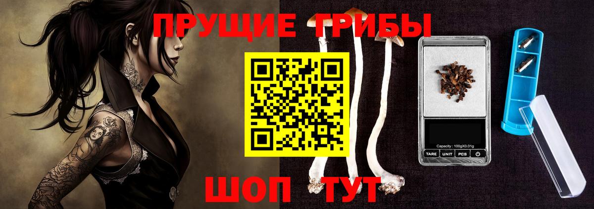 Владикавказ  Псилоцибиновые грибы Psilocybe  Вход с VPN 